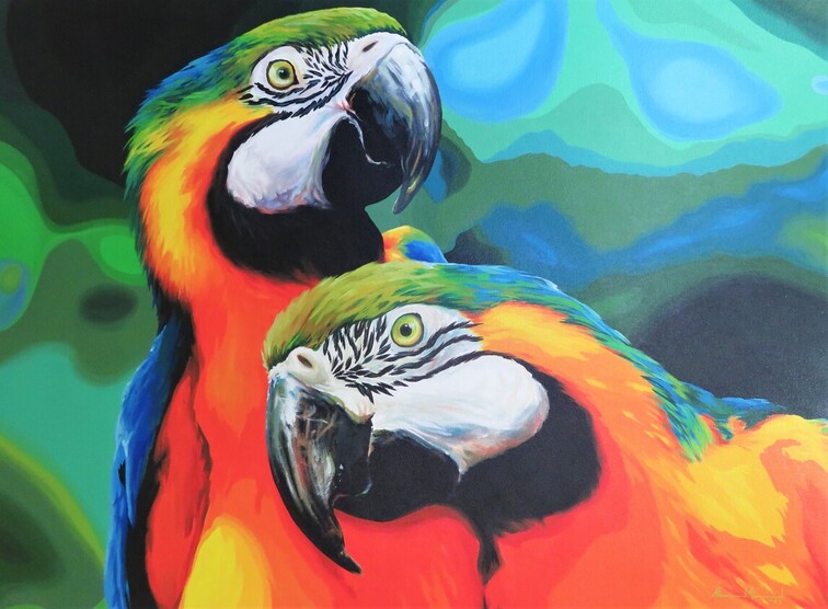 Blue and Gold Macaw High Resolution Digital Download